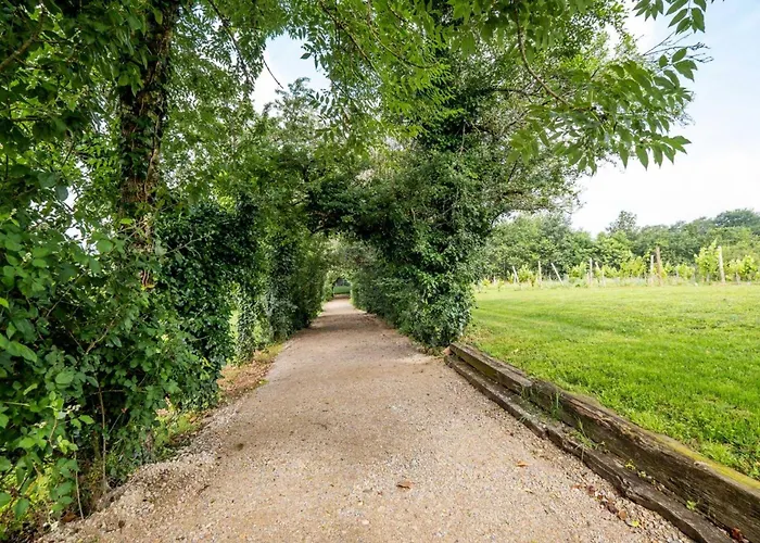 L'écrin Du Puech - Piscine Chauffée, Spa, Salle De Sport, Vue Panoramique * Teillet (Tarn)